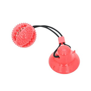 p ^ c uh[ S[fgo[ z {[ j ݂ v ϋv XgX  g[jO Vѓ ^s