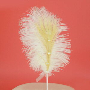 eBA q l LbY fB[X a p[eB[ Cxg  uC_ I P[LfR[V wbhANZT[ X^[ LL ؂₩ LOBe