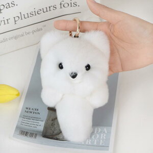 L[z_[ obO`[ fB[X bLXt@[ Lcl `[t zF 킢 ӂӂ L[O ANZT[ ig o i