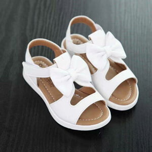 T_ ̎q LbY v  sN { ܐی 킢 ؍ w q  ʋC