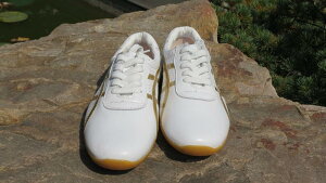 Ɍ V[Y LbY t v v _炩 \[ ʋC y p v K C