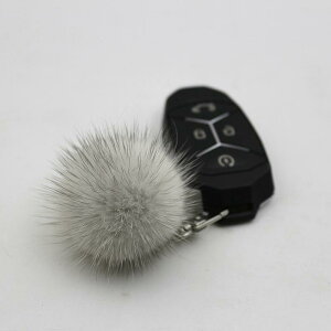 L[z_[  ӂӂ  _炩 t@[t@[ {[ ANZT[ Ԍ obO `[  FB Jbv S[h Vo[  O[  