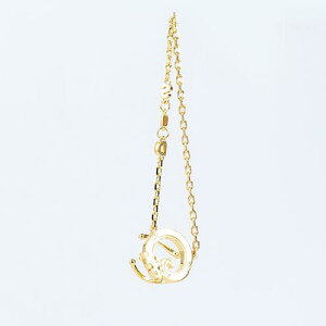 C[Jt fB[X ؍ g  C[Nbv ANZT[ LL  `F[ h I JWA  S[h