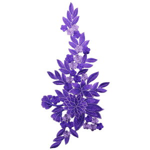 by Dt^Cv GXjbN  [X ANZT[ WPbg hJ     |Cg nhCh  CN |GXe _炩