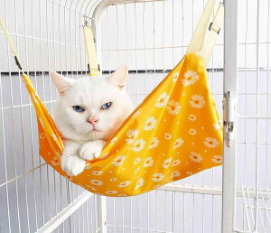 L nbN P[W  ybg ݂艺 R ߉Q Q  nMO  rO  N  vg ԕ t[c F  O[