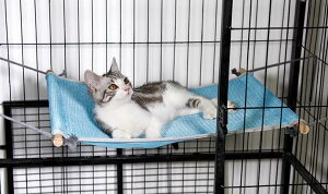 L nbN P[W  ybg ݂艺 R z Q Q  nMO  rO xbh I[V[Y bV Ђ  N  vg  a 