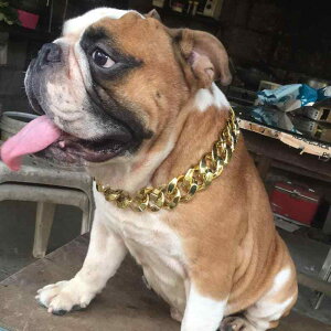   `F[  lbNX ANZT[ ybgpi 傫 uh[ S[fgo[ vX`bN Vv  Vo[ S[h