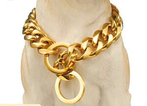   `F[  ybgpi XeX ANZT[ lbNX 傫  ^ Up Vv  S[h Vo[