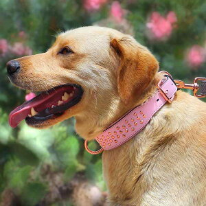     ݂h~ ybgpi 傫 S[fgo[ t`uhbO sobN X^bY   sN