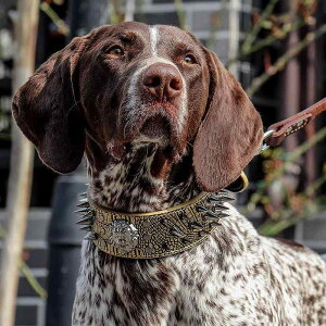   [h Zbg  ANZT[ ybgpi 傫 ݂h~ sobN X^bY `F[ tbN NR_C  S[h