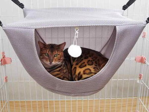 L nbN P[W ybgpi jbN  ݂艺 tbN tȒP  ʋC bV    􂦂 Q n O[ F