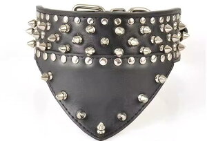    ANZT[ L 傫TCY XJ[t bN X^bY gQt xg ߉\ o U S[h 