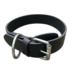    lbNX ANZT[ L  傫TCY wbh C[ v [h xg o U  Vo[