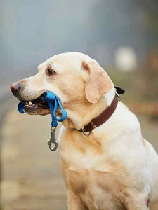    ybg v [h 傫TCY xg s obN Vv U R[M[ O tbN  v  W[