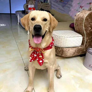  ANZT[ `[J[ 킢 Be ʐ^ ybg 悾ꂩ  VN j Ղ TGh Mtg `Ci _炩 {  XJ[t 