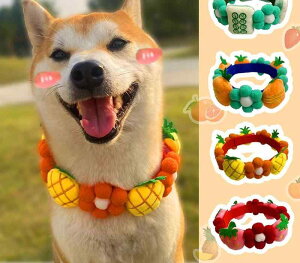  ANZT[ `[J[  ybg L R[M[ 킢 lbNX ʐ^ Be  C`S  ɂ񂶂  `Ci Mtg 傫TCY IW _炩