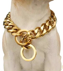  ANZT[ `[J[   ybg `F[ XeX | U lbNX   Vv  O S[h Vo[