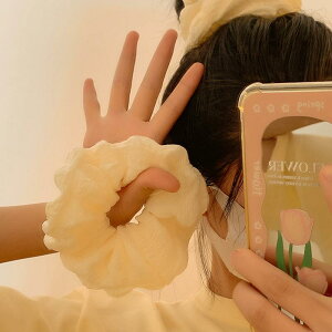 VV 傫 N[ {[ ؍ wAANZT[ |j[e[   Vv  ig JWA fB[X ł