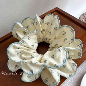 VV 傫 ؍ ԕ {[ S fB[X Vv JWA  ig wAANZT[ tF~j ł