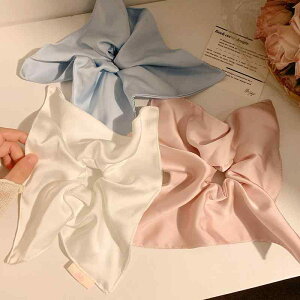 VV 傫 Te {[ ؍ wAANZT[  sN Vv fB[X JWA  ig ł n _炩