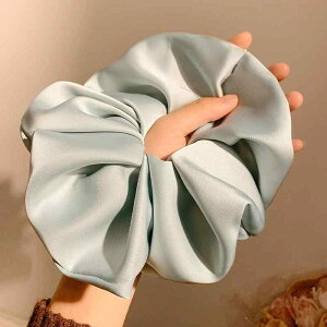 VV 傫 ؍  Te {[ fB[X wAANZT[ H~ Vv JWA  ig ł n _炩