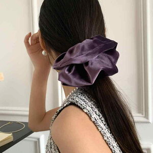 VV F xxbg 傫 wA wAS ؊ 邢 H~p wAANZT[