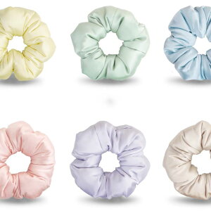 VV ӂ 傫 Te wAANZT[ p e͐ _炩 p  킢