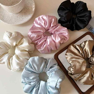 VV 傫 NbV Te wAANZT[ _炩 t` g wAS [EFAp