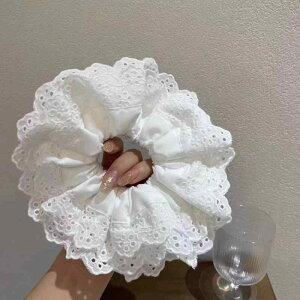 VV  [X 傫 wAANZT[ Vv ؊ ی^ 