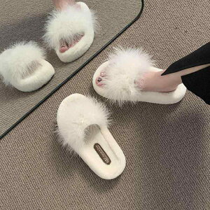 T_ fB[X H~ Xbp  tbg t@[ ӂӂ  Vv  [V[Y ₷ ɂ  AC{[ J[L