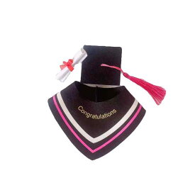 卒業 グッズ ギフト 学士服 博士帽 おもちゃ 証書 お祝い 文字 男女兼用 スカーフ タッセル かわいい ぬいぐるみ コスチューム ピンク 赤 黄