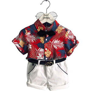 q j̎q ZbgAbv xr[ 1 2 3 t  Vc  {^ V[gpc xg lN^C  a ʐ^Be o JWA 