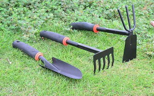 K[fjO XRbv ƒ؉ F A At |p Zbg Yf|  Vv  O  Kтɂ K