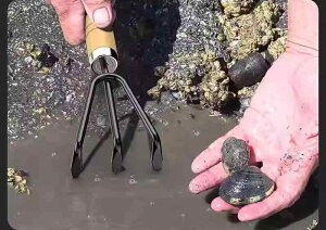 K[fjO XRbv ƒ؉ At c[  Vv O V[g ϋv ~ Zbg F h hK ϐH 