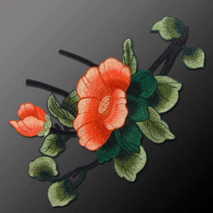 hJ by z XebJ[ Jt  hX  ANZT[ D VjA  GKg ؂₩ 傫  obO   