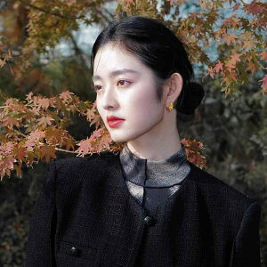 hS sAX x y `Ci g ؍ S[h Vv  ig ł v[g ANZT[ I  bL