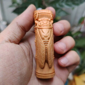 ؒ  `[ y_g R r[Y `F[ 傫 u     H|i Mtg  Z~ RNV `Ci 