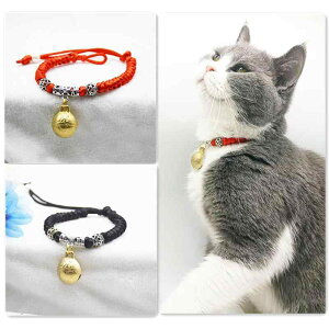 ybg   lR ANZT[    ҂ݍ  r[Y ʐ^ Be Cxg o ig  [v x S[fgo[ nXL[    