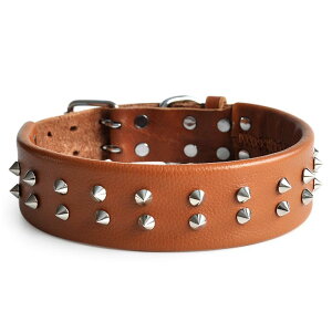 ybg   lR X^bY XpCN ANZT[    ʐ^ Be Cxg o ig U[ v S[fgo[ U F