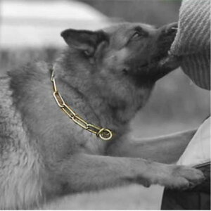   `F[ 傫  ybg lbNX XeX |  S[fgo[ bgC[ g[jO  Vv  U