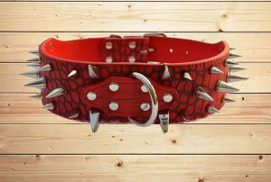  gQgQ ݂h~ sbgu uhbO xbg   S[h ANZT[ bN 傫 PU ϋv XeX  Ҍ 