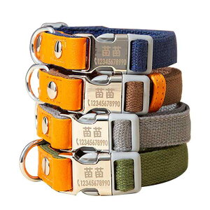    ybg ϖՐ ʋC ϋv ^ 傫  Lk[h Zbg    U R[M[ S[fgo[ qh~ ȒP Vv ig JWA