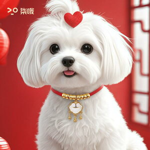     VN lbNX qh~ ^ L Vv `Ci g ANZT[ U ig  v[g   