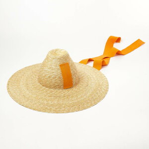 Xq fB[X  ΍L ̃NE { Ăh~ t AEghA C r[` Vv i`