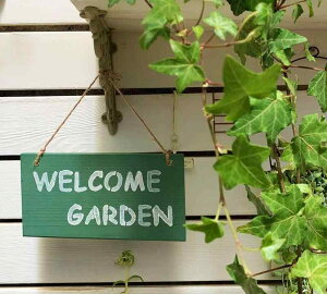  EFJ v[g  ݂艺 Ŕ  K[f fR[V TC Vv p  oRj[ `[  g  