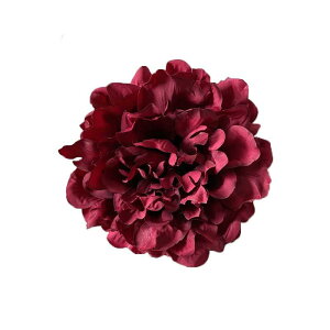  z g ANZT[ wAAW  Nbv  EFfBO Cxg Be  Vv GKg sN   O