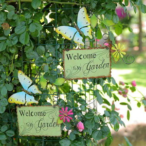 welcome v[g  hA   ACA TC{[h ǂ \D Ŕ EH[fR I[ig fBXvC CeA GNXeA G Vz  K[f X Vbv 