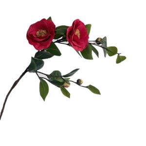  CeA z rO a  q  t[AWg Be  Vv GKg    