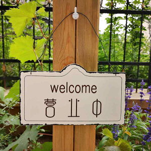 welcome TC v[g  cƒ n  C[[v ݂艺  hA Ǐ CeA X JtF g Vv 