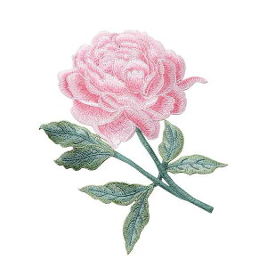  hJ by  ߗ  WPbg C GXjbN nhCh CN ANZT[ D sN  F 傫 ޗ